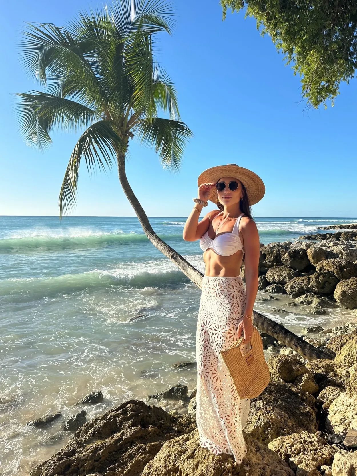 Bonita's Mini Raffia Tote Clutch Bag