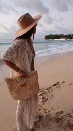 Bonita's Mini Raffia Tote Clutch Bag