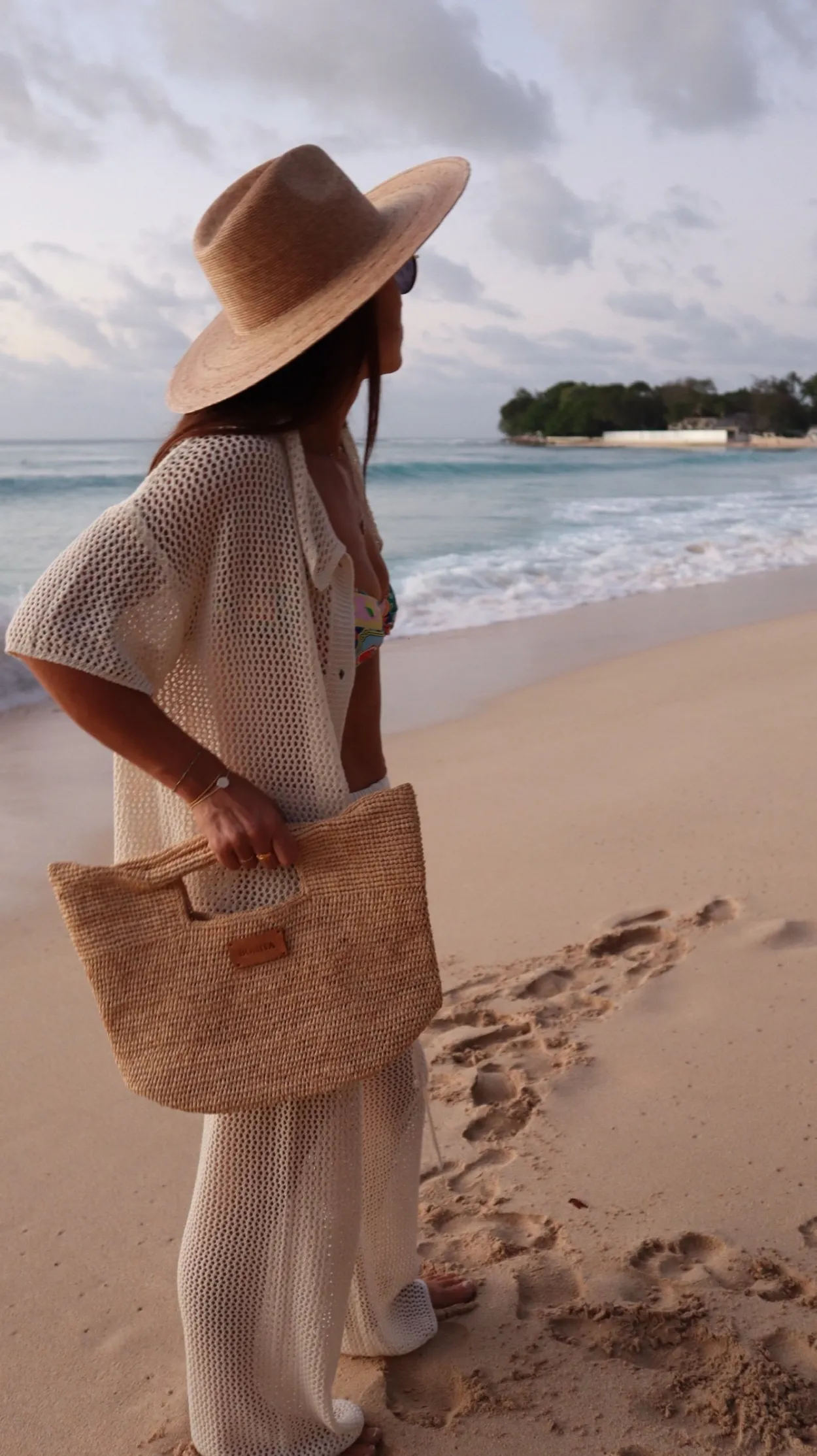 Bonita's Mini Raffia Tote Clutch Bag