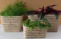 Bonita's Open Weave Storage Boxes (Trio)