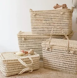 Bonita's Storage Trunks