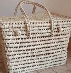 Bonita's Storage Trunks