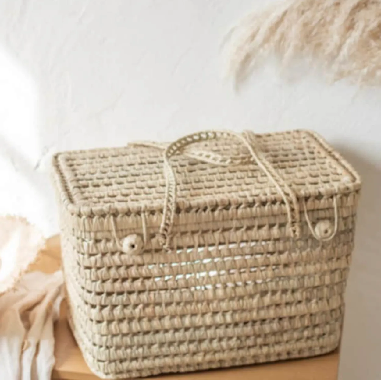 Bonita's Storage Trunks