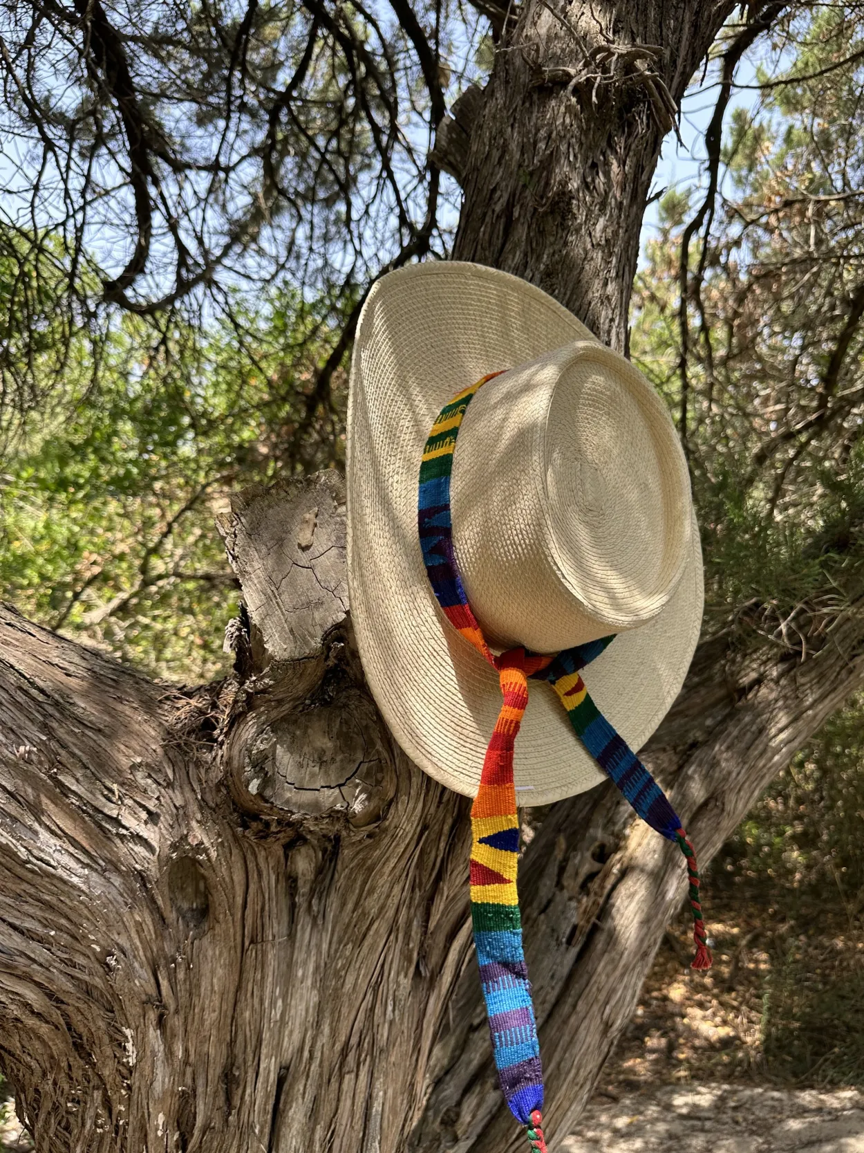 Guatemala - Palm Leaf Panama Hat