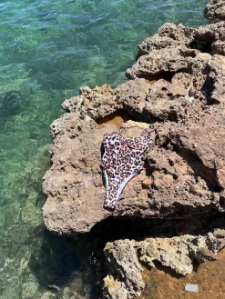 LEOPARD- Swimsuit