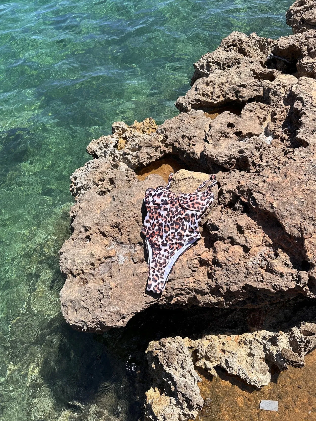 LEOPARD- Swimsuit
