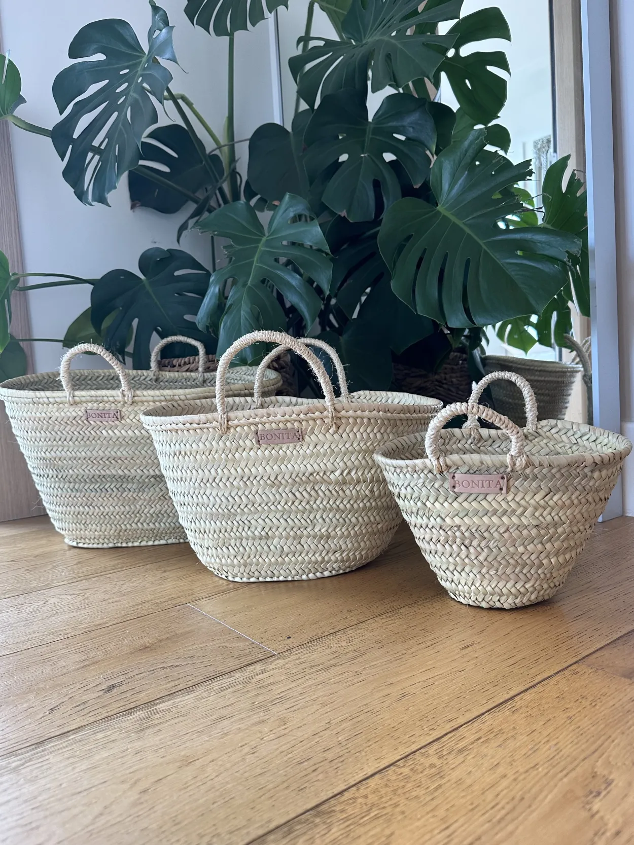 Mini Palm Bonita Basket