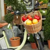The Adult Oval Bike Basket
