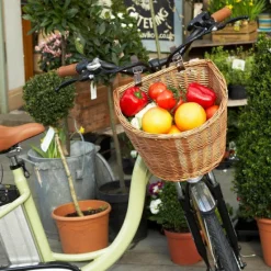 The Adult Oval Bike Basket