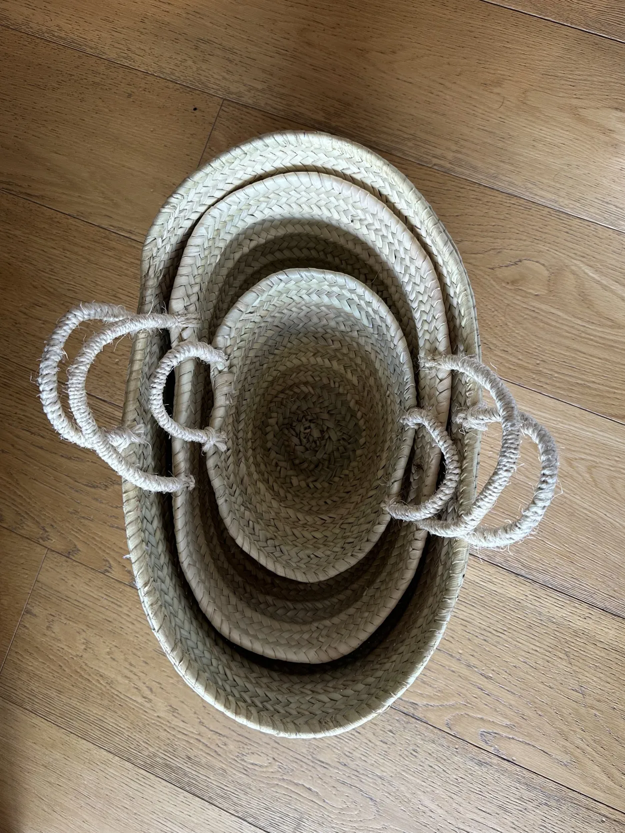 The Medium Palm Bonita Basket - BONITA collection
